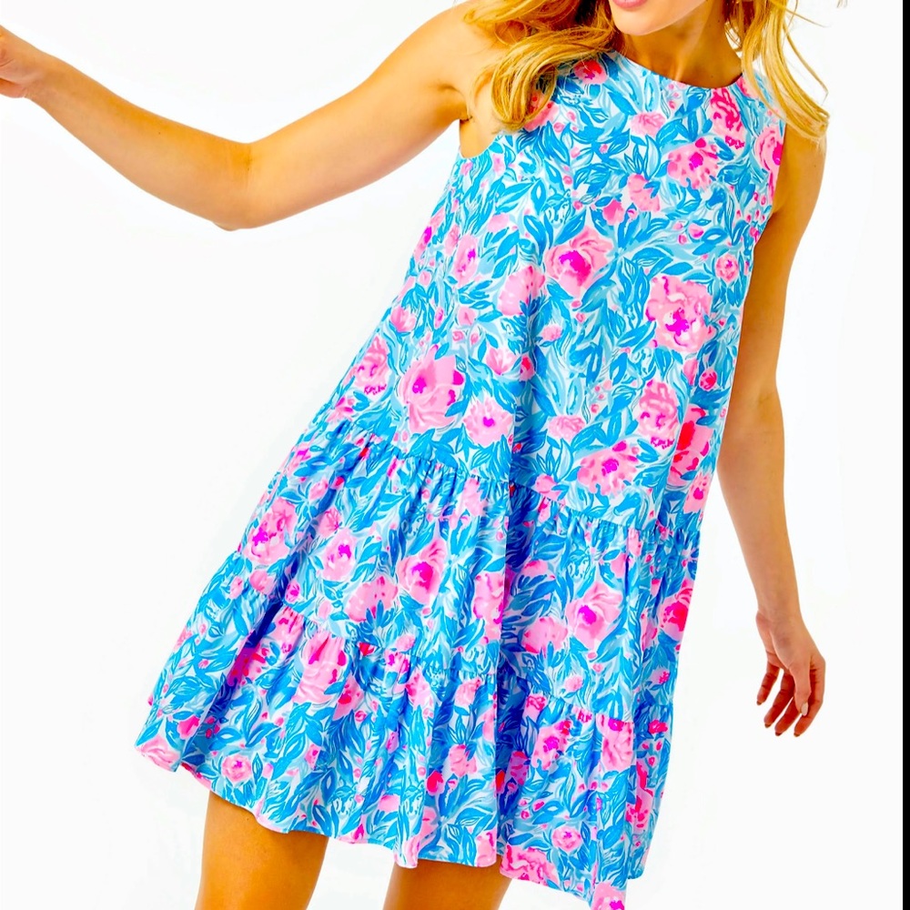 NWT Lilly Pulitzer Trina Swing Dress Size XS.